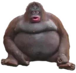 1746210014427.webp