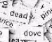 1746225487780.webp