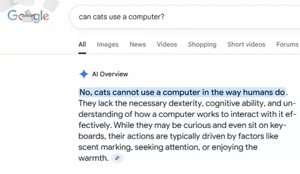 98sdhfh4.webp