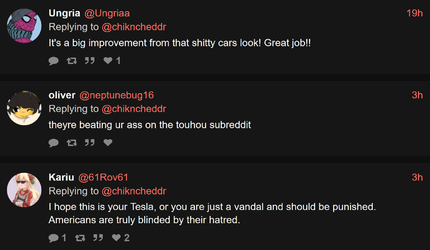 teslachuds-owned (3).webp