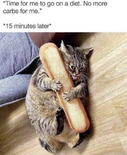 bread.webp