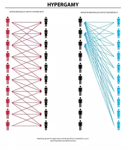 The post-sexual-revolution sex dynamics.webp
