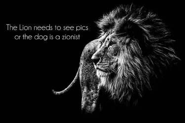 TheLionReepsTonight.webp