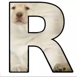 puppy-letter-r.webp