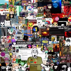 1746332180315.webp