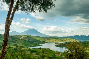 landscape-of-the-virunga-mountains-in-rwanda.webp