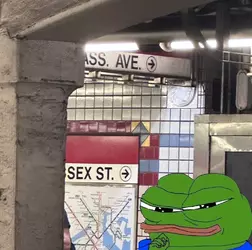 1746361476274.webp