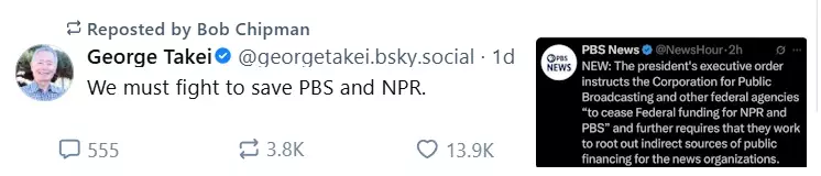 pedo.webp