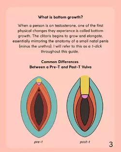 lets-talk-about-bottom-growth-updated-version-v0-f57i0d2dweye1.webp