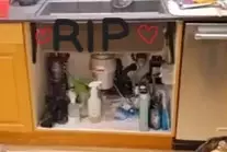 RIP Never Forget.webp