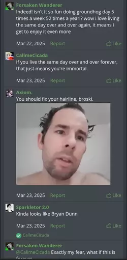 hairline.webp