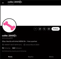 collie.webp