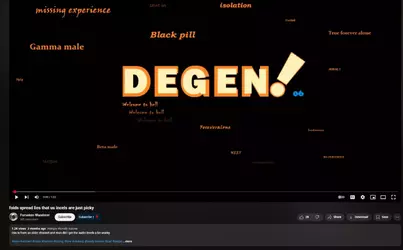 1746411992486.webp