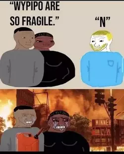 wypipo-are-so-fragile-n.webp