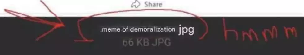 1746451525753.webp