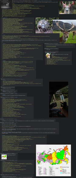 deer1.webp