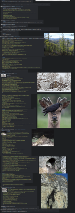 deer2.webp