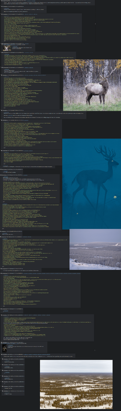 deer3.webp