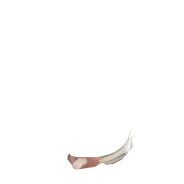 Throat tube 1.webp