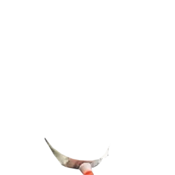 Throat Tube 2.webp
