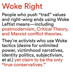 woke right.webp