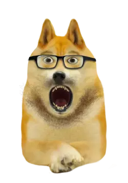 1746504759104.webp