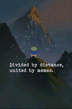 united by memes.webp