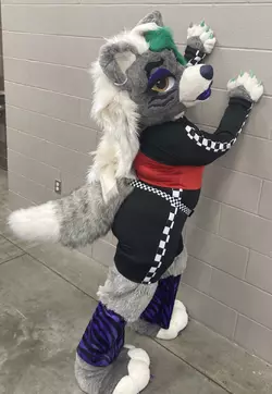foxfursuit1.webp