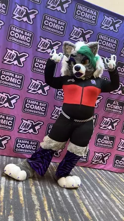 roxfursuit2.webp