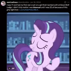 bi pony.webp