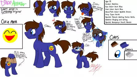 dillon pony.webp