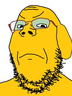 1745934344845i.webp