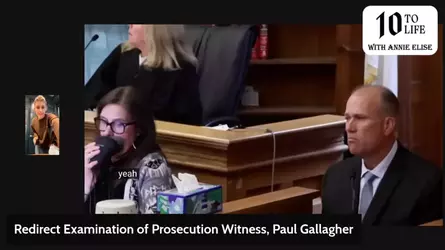 Annie Elise - Karen Read Retrial Day 10 Solo Cups & Leaf Blowers Witness Testimony Continues ...webp