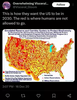 2020delusions.webp