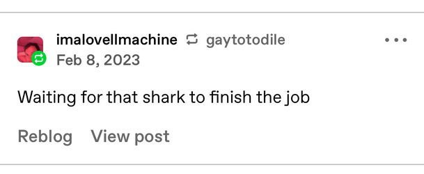 shark3.webp