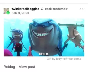 shark1.webp