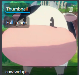 thumbnail 2.webp