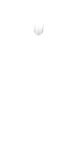 1746594697146.webp