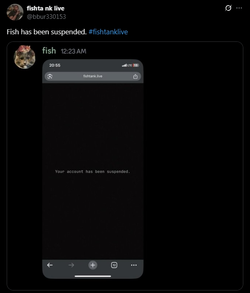 Screenshot_2.webp