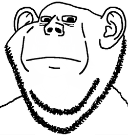 1746357014352z-1.webp