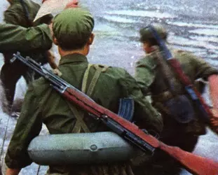Rifle_Type_63.webp