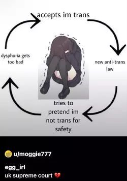 pretendimnottrans.webp