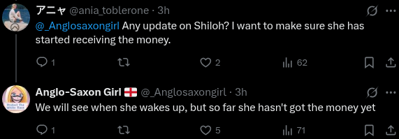 anglo.webp