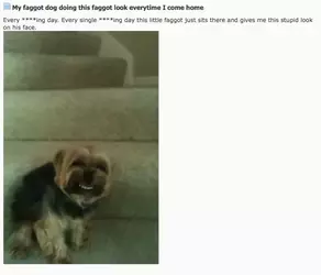 1746568309814486.webp