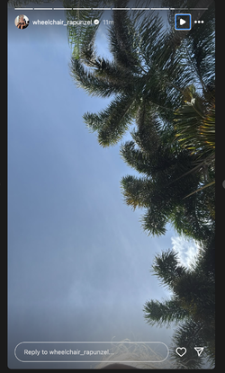 wr_01.webp