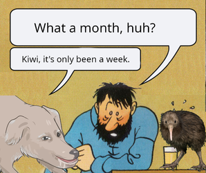 What a month.webp