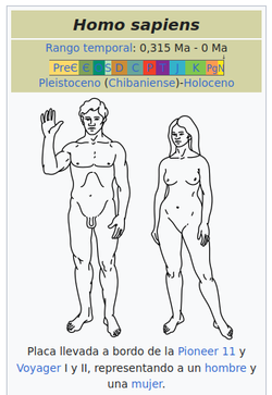 spanish.webp