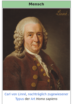 german.webp