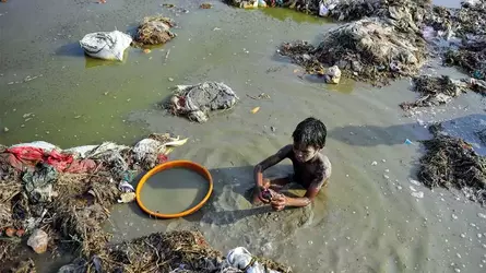 pollution scavenging.webp