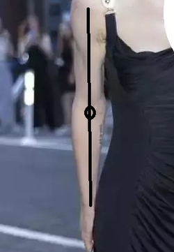 ttye.webp